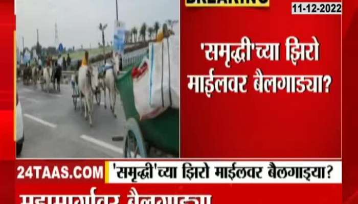 Bullock carts ran on Samriddhi highway, video viral