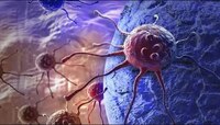 Cancer Insurance Policy अंतर्गत कर्करोगशी संबंधित जोखीम होणार कव्हर, जाणून घ्या सर्व