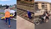 Year Ender : 2022 मध्ये नेटकऱ्यांना हसवणारे Top 10 Video