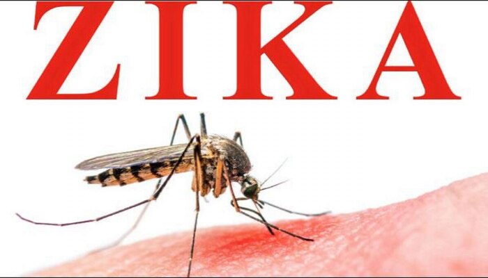 Zika virus : 5 वर्षांच्या चिमुकलीला झिकाची लागण; आरोग्य विभाग Alert 