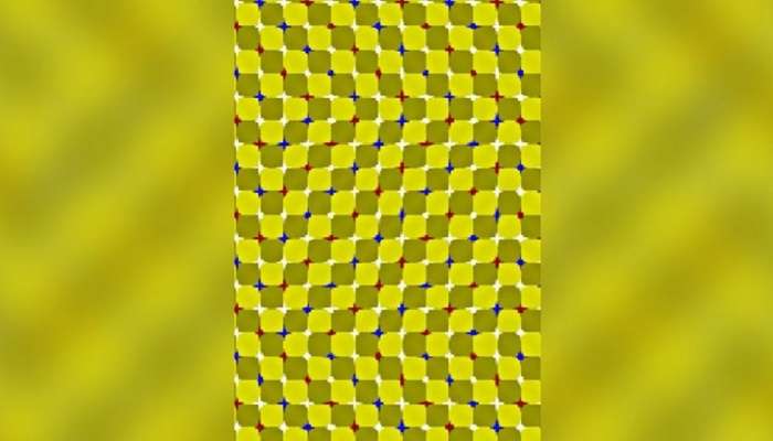 optical illusion : या फोटोतल्या वर्क रेषा ओळखा