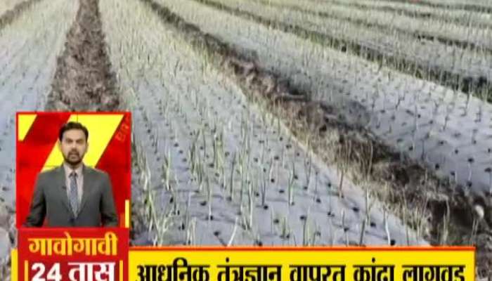 A farmer's unique experiment in Shirur, this simple method was used for onion cultivation