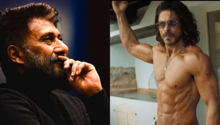 &quot;बेशरम रंग&quot; हे गाणे इन्स्टा रील सारखे, विवेक अग्निहोत्रींचा Shahrukh Khan ला टोमणा, चाहते भडकले 