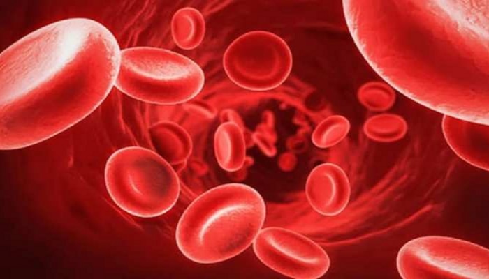 Normal Hemoglobin Level: वयोमानानुसार शरिरातील हिमोग्लोबिनची योग्य पातळी किती? 