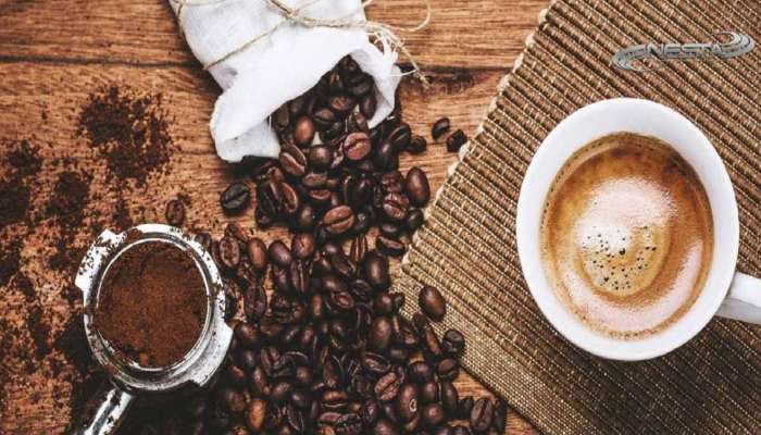 Health Tips : सकाळी-सकाळी ‘Coffee’ पिण्याची सवय? मग ‘हे’ वाचाच…     