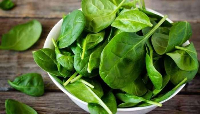 Spinach Benefits : &#039;या&#039; पालेभाजीच्या पाण्याचे एक नाही तर आहेत अनेक आरोग्यदायी फायदे... जाणून घ्या कोणते?