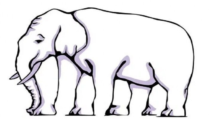 Optical Illusion : &#039;या&#039; फोटोत हत्तीचे किती पाय दिसतायत? 20 सेकंदात उत्तर सांगा 