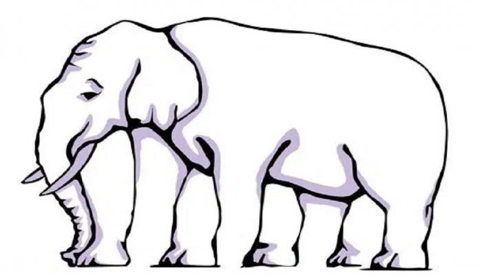 Optical Illusion : 'या' फोटोत हत्तीचे किती पाय दिसतायत? 20 सेकंदात उत्तर सांगा 