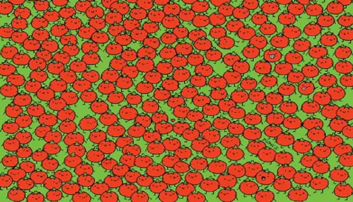 Optical Illusion : &#039;या&#039; फोटोत 3 सफरचंद शोधून दाखवा, तुमच्याकडे 10 सेकंदाची वेळ 