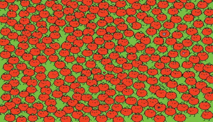 Optical Illusion : 'या' फोटोत 3 सफरचंद शोधून दाखवा, तुमच्याकडे 10 सेकंदाची वेळ 
