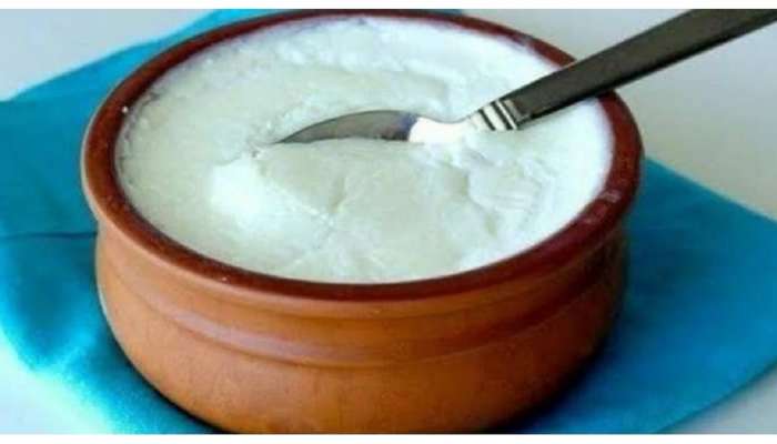 Curd: दह्यासोबत &#039;या&#039; गोष्टी खात असाल तर आताच थांबा, अन्यथा होऊ शकतात गंभीर आजार