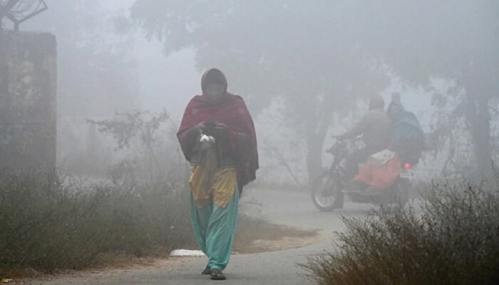 Weather Update : मुंबईवर धुक्याची चादर, राज्यात हुडहूडी; &#039;या&#039; भागात सर्वात कमी तापमानाची नोंद 