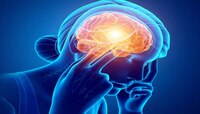 Brain Eating Virus: कोरोना नव्हे, आता 'या' नव्या आजाराची भीती; थेट मेंदूलाच धोका 