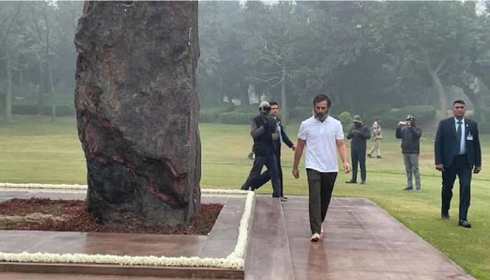 Rahul Gandhi : हाड गोठवणारा गारठा तरीही राहुल गांधीना थंडी का वाजत नाही? 