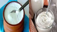 Dahi and Yogurt: दही आणि योगर्ट यातला फरक तुम्ही कसा ओळखाल, 'ही' आहे सोप्पी पद्धत!