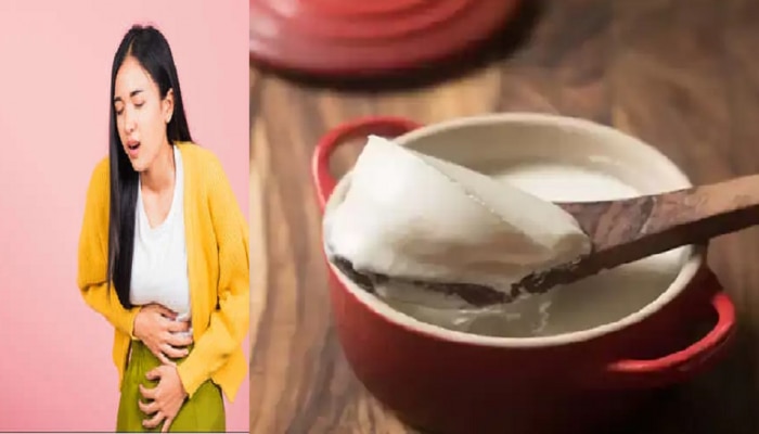 Curd in Periods : मासिक पाळीत दही खाणं योग्य कि अयोग्य ? जाणून घ्या सत्य