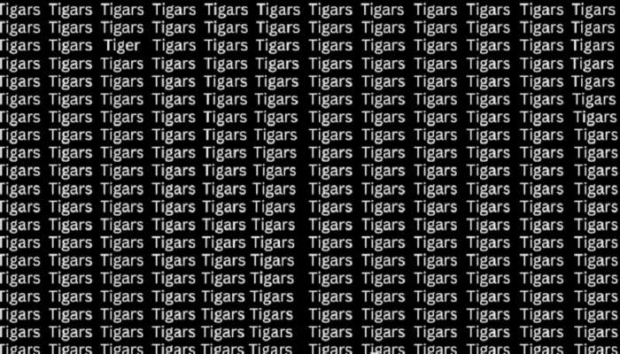 Optical Illusion: &#039;या&#039; फोटोत Tiger हा शब्द शोधून दाखवा, तुमच्याकडे 30 सेकंदाची वेळ 