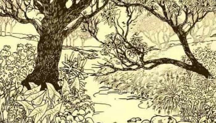Optical Illusion: 'या' फोटोतील लपलेला मासा, 99% लोकं झाली फेल, 10 सेकंदात शोधून दाखवा