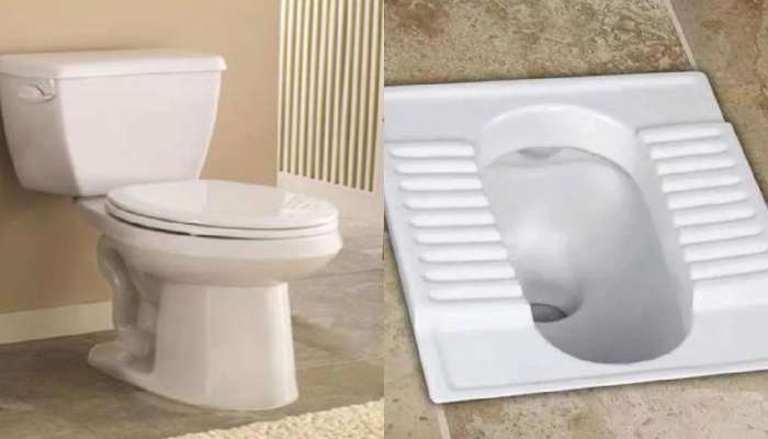 Toilet Seat: इंडियन की वेस्टर्न स्टाईल टॉयलेट! जाणून घ्या फायदे आणि नुकसान