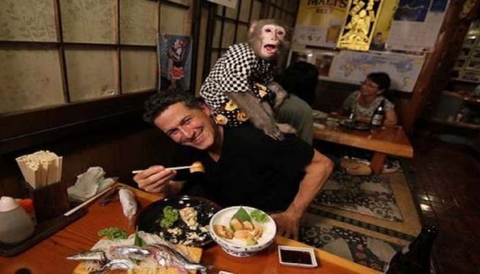 &#039;या&#039; रेस्टॉरंटमध्ये चक्क माकडाच्या हातचं खावं लागत जेवण, लोकंही आवडीनं खातात, पाहा फोटो
