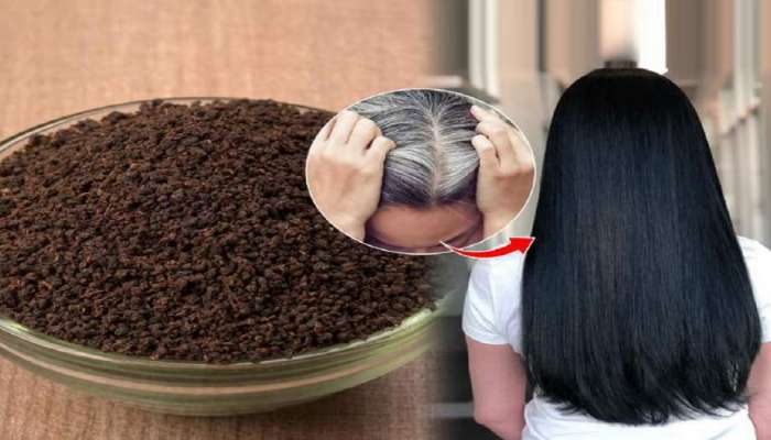 Beauty tips :  10 रुपयाच्या चहा पावडरने पांढरे केस होतील काळे तेही अर्ध्या तासात...कसं ते जाणून घ्या