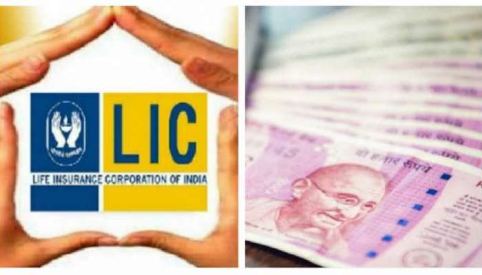 LIC Share Price : LIC ची शेअरनं वेधलं सगळ्यांचेच लक्ष, देतील छप्परफाड रिटर्न्स! 