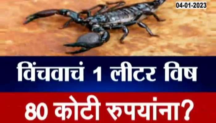 1 liter of scorpion venom for 80 crore rupees? See what is the truth?