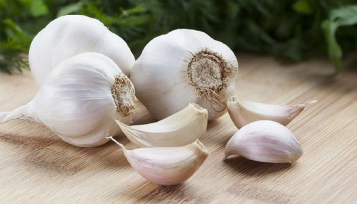 Garlic Side Effects: तुम्ही चुकीच्या पद्धतीनं लसूण खाताय का? एकदा पाहा योग्य पद्धत 