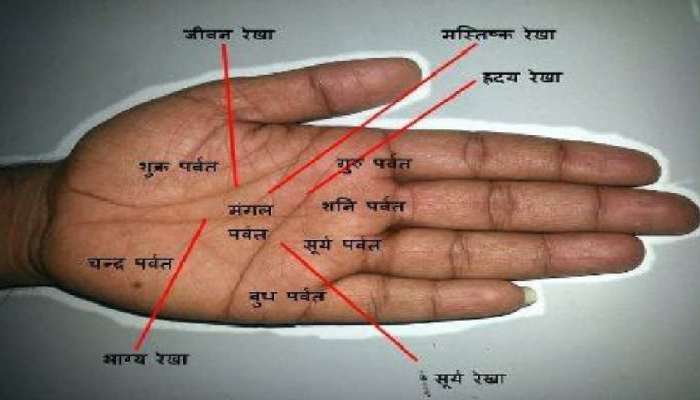 Palmistry: जीवनात काय घडणार आहे? हे हाताच्या या 4 रेषा सांगतात, जाणून घेण्याचा हा सोपा मार्ग