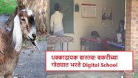 बकरीच्या गोठ्यात भरते Digital School,विद्यार्थ्यांची अवस्था तुम्हाला पाहवणार नाही...