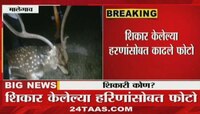 हरिण आणि मोरांच्या शिकारीचा व्हिडिओ व्हायरल, फोटो सेशन करणाऱ्यांवर कारवाई होणार का ?