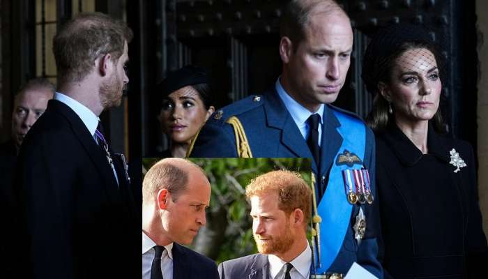 Prince Harry: ''माझी कॉलर पकडली, मला ढकललं आणि...'' ब्रिटनच्या प्रिन्स हॅरी यांच्यासोबत हे काय घडलं?