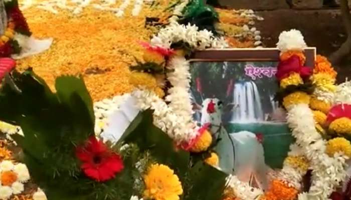 Death Anniversary of Cow :  ऐश्वर्याचे वर्षश्राद्ध...  &#039;तो&#039; पुन्हा ढसा ढसा रडला