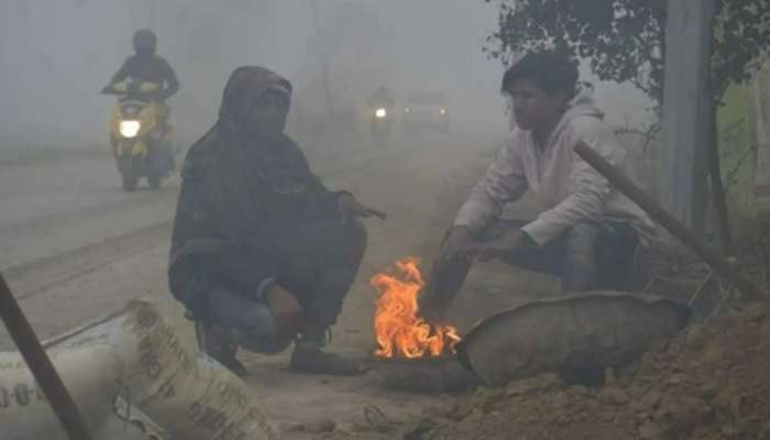 Maharashtra Weather : उत्तर भारतातील थंडीच्या लाटेचा परिणाम आता राज्यात, मुंबईचा पारा घसरणार