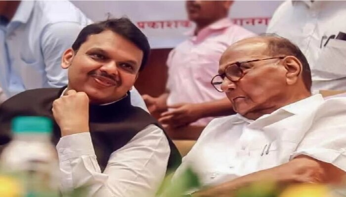 Maharashtra Politics: राजकारणात हे असंच होत असतं! वैर विसरून शरद पवार आणि देवेंद्र फडणवीस यांचा एकत्र प्रवास 