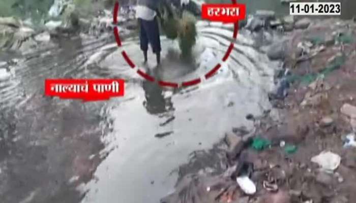 Pune Shocking Video Gram Washing on Drain Water