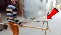 सापाला मारल्याप्रकरणी तरुणाविरोधात गुन्हा दाखल; पोस्टमार्टमनंतर दाखल केली तक्रार