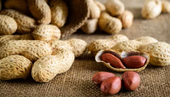 Peanuts Benefits: शेंगदाणे खाण्याने आयुष्य वाढते? कसं आणि का ते जाणून घ्या