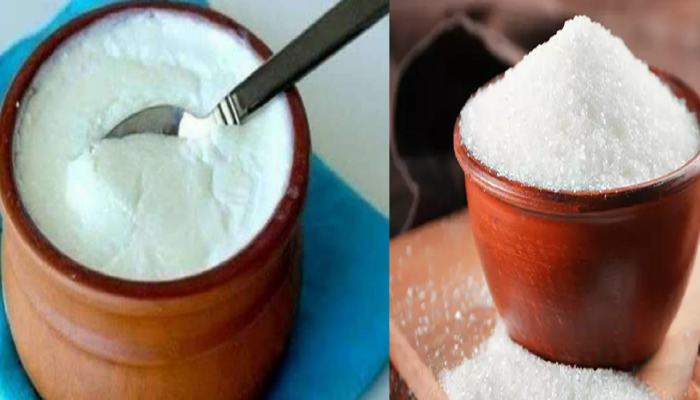 Curd : घरातून बाहेर पडताना दही - साखर खाणे शुभ, 'हे' आहे वैज्ञानिक कारण