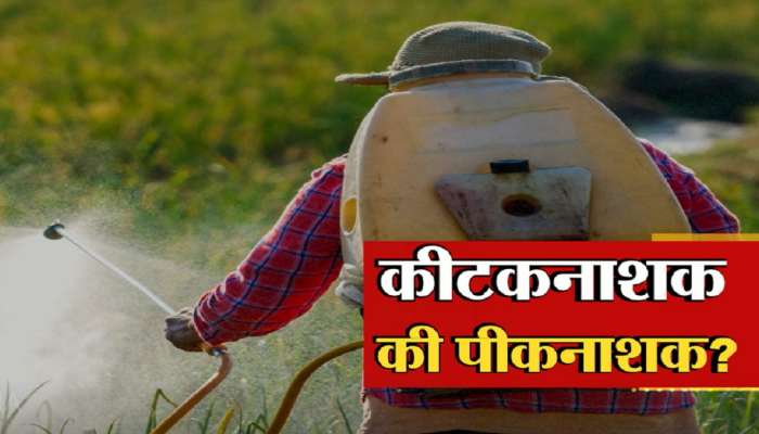 Maharashtra Farmer : एका क्षणात शेतकरी उद्ध्वस्त! डोळ्यादेखत 200 एकरवरील पीक नष्ट
