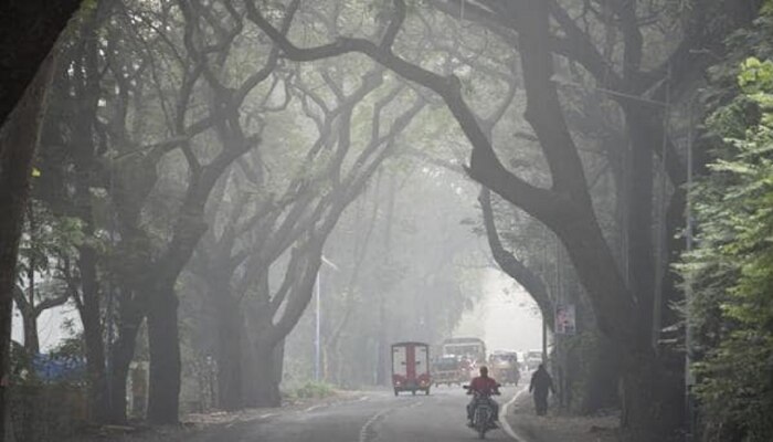 Weather Update : मुंबईत अचानक तापमान वाढ! दोन दिवसांनी होणार मोठी उथापालथ; स्वत:ला जपा 