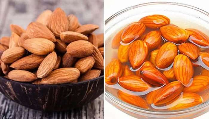 Side Effects Of Eating Almonds: बदाम खाण्याची पण असते एक मर्यादा, गरजेपेक्षा जास्त सेवन केल्यास काय होतं ते वाचा