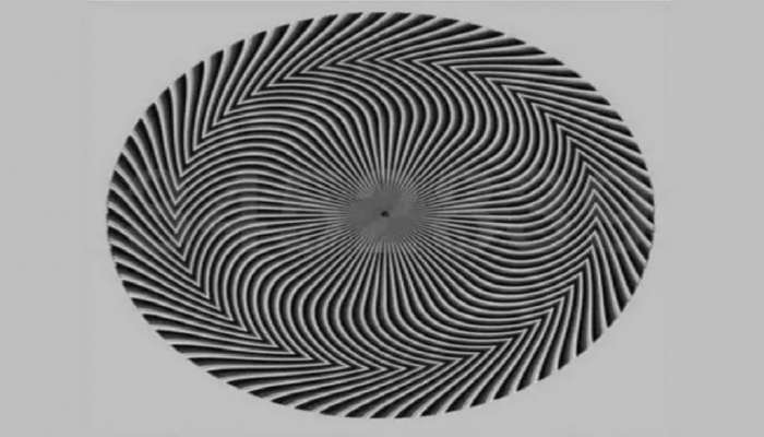 Optical Illusion: &#039;या&#039; फोटोत लपलेला नंबर शोधून दाखवा, तुमच्याकडे 30 सेकंदाची वेळ 
