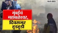 Cold Wave In Maharashtra | मुंबईत गुलाबी थंडीचं राज्य, मुंबईचं झालं महाबळेश्वर, पाहा स्पेशल रिपोर्ट