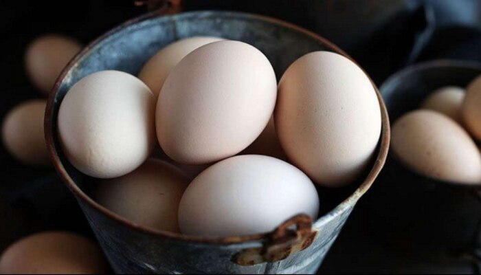 Mumbai Egg Rate : अंड्यांचे वाढलेले दर पाहून सामान्यांचा प्रश्न, आता खायचीच नाहीत का? 