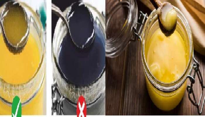 Ghee Purity Check : &#039;या&#039; पाच पद्धतींनी ओळखा तुमचं तूप अस्सल की बनावट