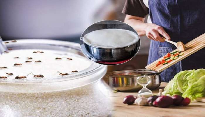 Smart Kitchen Tips: video आता दूधही उतू जाणार नाही आणि भाजीही करपणार नाही...गृहिणींसाठी स्मार्ट Kitchen Tips