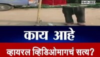 व्हायरल पोलखोल | तुम्ही कधी धड वेगळं घेऊन फिरणारा माणूस पाहिलाय का? काय आहे सत्य?