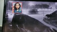ती कुत्र्यांना खायला देत होती अन् मग.., अपघाताचा थरारक Video Viral