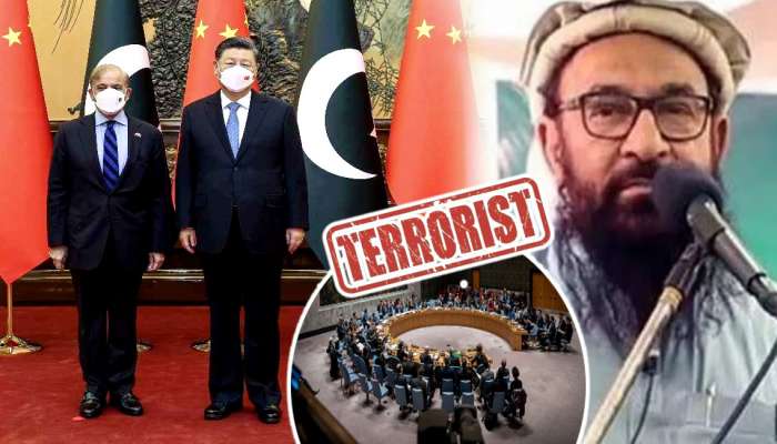Abdul Makki Global Terrorist: मक्की जागतिक दहशतवादी! चीनचा पाकिस्तानला धक्का; भारताला फायदा